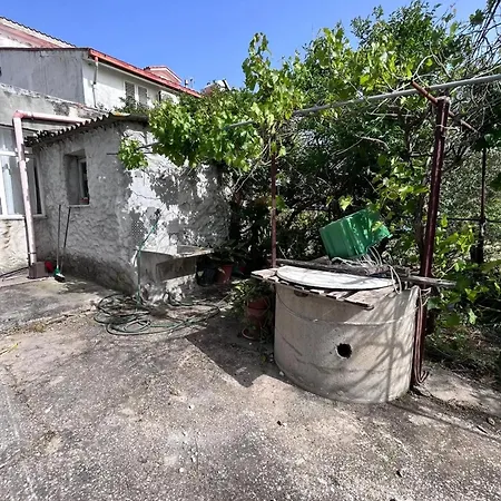 Warm House In With Fenced Garden